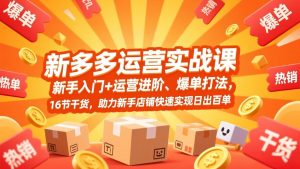 拼多多运营实战课，新手入门+运营进阶、爆单打法，16节干货，助力新手店铺快速实现日出百单-琴书聊项目