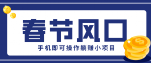 快手极速版春节推广风口，一部手机就能上手，拉新20元/人平台助力躺赚小项目-琴书聊项目
