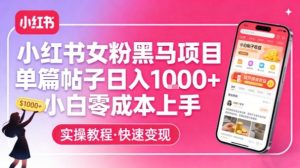 小红书女粉黑马项目，单篇帖子日入1k+，小白零成本上手-琴书聊项目