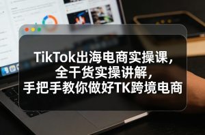 TikTok出海电商实操课，全干货实操讲解，手把手教你做好TK跨境电商-琴书聊项目