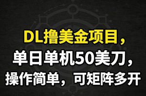 DL撸美金项目，单日单机50美刀，操作简单，可矩阵多开-琴书聊项目