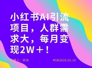 她通过这个AI项目每月做到2W＋的收入，最新小红书AI项目，人群需求大！-琴书聊项目