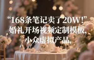 168条笔记卖了20W！婚礼开场视频定制模板，小众虚拟产品-琴书聊项目