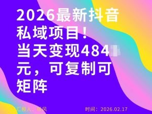 26年最新抖音私域玩法，当天变现4张+，可复制可粘贴，新手小白可做-琴书聊项目
