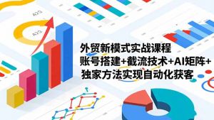 外贸新模式实战课程-更新2月,账号搭建+截流技术+AI矩阵+独家方法实现自动化获客-琴书聊项目