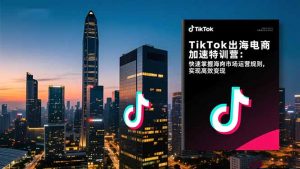 TikTok出海电商加速特训营-更新：快速掌握海外市场运营规则，实现高效变现-琴书聊项目