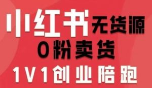 小红书无货源0粉电商课，开店准备、选品策略、笔记撰写、视频剪辑、数据分析、账号打造、资料文档(更新26年2月)-琴书聊项目