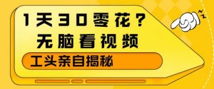 1天30零花？无脑看视频，大佬亲自揭秘-琴书聊项目