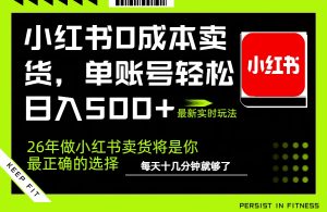 小红书0成本AI卖货，单账号轻松日入500+，完全托管AI，可矩阵放大-琴书聊项目