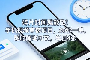 碎片时间就能做！手机视频审核项目，20秒一单，随时随地可做，单日4张+【揭秘】-琴书聊项目
