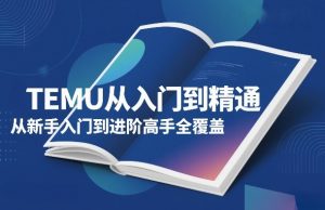 TEMU从入门到精通，从新手入门到进阶高手全覆盖-琴书聊项目