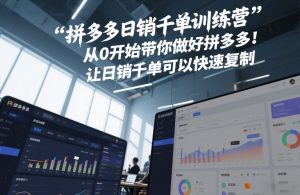 拼多多日销千单训练营，从0开始带你做好拼多多，让日销千单可以快速复制(更新26年2月)-琴书聊项目