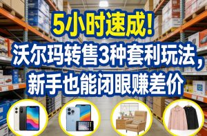 5小时速成！沃尔玛转售3种套利玩法，新手也能闭眼賺差价-琴书聊项目