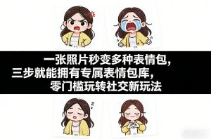 一张照片秒变多种表情包，三步就能拥有专属表情包库，零门槛玩转社交新玩法【文档】-琴书聊项目