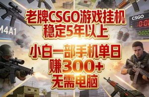 老牌CSGO游戏挂G，稳定5年以上，小白一部手机单日賺3张+，无需电脑【揭秘】-琴书聊项目