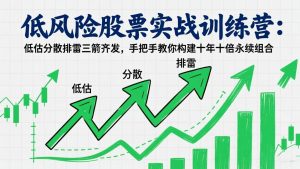 低风险股票实战训练营：低估分散排雷三箭齐发，手把手教你构建十年十倍永续组合-琴书聊项目