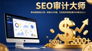 SEO审计大师：教你精通网站分析，修复SEO问题，为有效的审核收费5000美元以上！-琴书聊项目