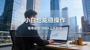 2026新项目，小白也能稳操作，每单盈利1000+上不封顶-琴书聊项目