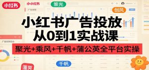 小红书广告投放从0到1实战课：聚光+乘风+千帆+蒲公英全平台实操-琴书聊项目