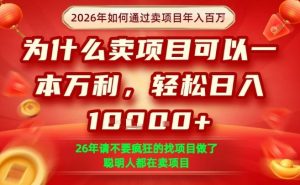 一单净利润1K+，26年想年入100个W，死磕卖项目就够了【揭秘】-琴书聊项目