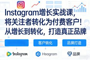 Instagram增长实战课，将关注者转化为付费客户！从增长到转化，打造真正品牌(双语字幕)-琴书聊项目
