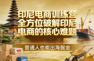 印尼电商训练营，全方位破解印尼电商的核心难题，普通人也能出海掘金-琴书聊项目