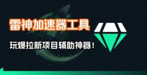 雷神加速器项目模拟器_无脑1分钟1条视频矩阵_疯狂报单打法【焚诀】-琴书聊项目