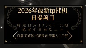 2026年最新tp挂机日提项目：稳定日入1000+小白轻松上手-琴书聊项目