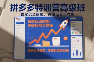 拼多多特训营高阶班，独家玩法赋能，突破运营天花板(更新26年3月13日)-琴书聊项目