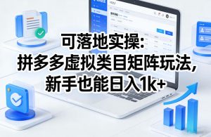 可落地实操：拼多多虚拟类目矩阵玩法，新手也能日入1k+【揭秘】-琴书聊项目