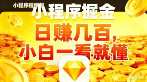 微信小程序掘金项目，不用复杂操作，5分钟就能学会上手操作，日入几张【揭秘】-琴书聊项目
