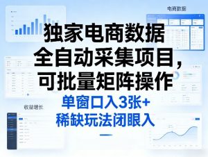 独家电商数据全自动采集项目，可批量矩阵操作，单窗口日入3张+，稀缺玩法闭眼入【揭秘】-琴书聊项目