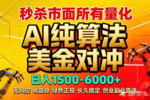 2026全网首发黑马项目，AI美金算法对冲，日入2000-6000+，稳定长效0风险，彻底告别996死工资-琴书聊项目