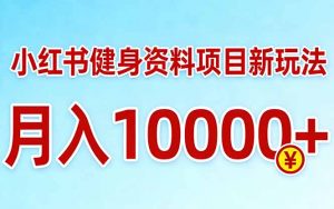 小红书健身资料项目最新玩法，月入10000＋，收益潜力可以无限放大-琴书聊项目