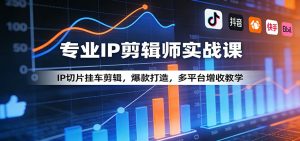 专业IP剪辑师实战课：IP切片挂车剪辑，爆款打造，多平台增收教学-琴书聊项目