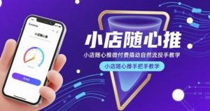 小店随心推微付费撬动自然流投手教学，小店随心推手把手教学(更新26年)-琴书聊项目