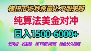 2026美金掘金新风口-纯算法对冲震撼上线！日入1500-6000+，长久合规稳健，轻松摆脱死工资-琴书聊项目