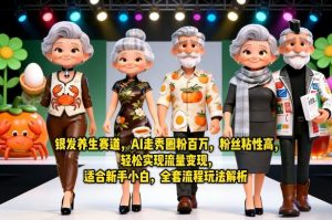 银发养生赛道，AI走秀圈粉百万，粉丝粘性高，轻松实现流量变现，适合新手小白，全套流程玩法解析-琴书聊项目