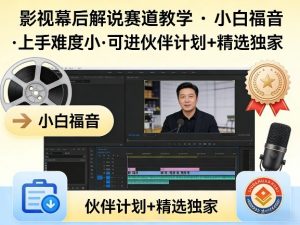某大佬的影视幕后解说赛道教学，小白福音，上手难度小，可进伙伴计划+精选独家-琴书聊项目
