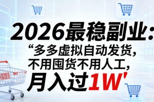 2026最稳副业：多多虚拟自动发货，不用囤货不用人工，月入过1W【揭秘】-琴书聊项目
