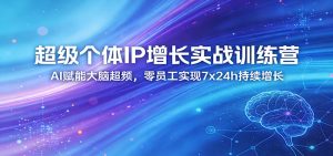 超级个体IP增长实战训练营:AI赋能大脑超频,零员工实现7x24h持续增长(更新)-琴书聊项目