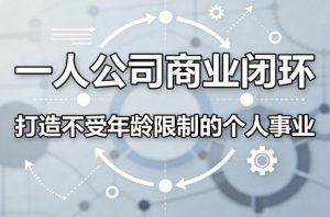 一人公司商业闭环，打造一份不受年龄限制的个人事业-琴书聊项目