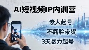 2026AI短视频IP内训营：从素人起号到不露脸带货，3天暴力起号全流程拆解-琴书聊项目