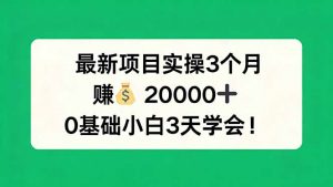 最新项目实操3个月，赚钱20000+，0基础小白3天学会！-琴书聊项目