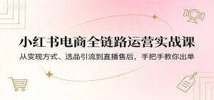 小红书电商全链路运营实战课：从变现方式、选品引流到直播售后，手把手教你出单-琴书聊项目