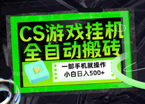 CSGO游戏挂机捡漏搬砖，超稳定的项目，带领1000+小白实现日入500+，数据可视频验证-琴书聊项目