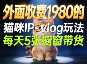 宠物赛道猫咪IP-vlog玩法，26条视频涨粉29W，每天5张橱窗带货拆解-琴书聊项目