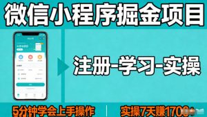微信小程序掘金项目，项目很简单，5分钟就能学会上手操作，实操7天賺了1700+【揭秘】-琴书聊项目