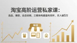 淘宝高阶运营私家课(更新26年4月-琴书聊项目