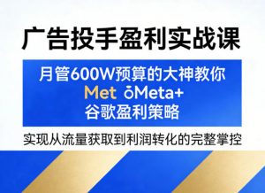 广告投手盈利实战课，月管600W预算的大神教你Meta+谷歌盈利策略，实现从流量获取到利润转化的完整掌控-琴书聊项目